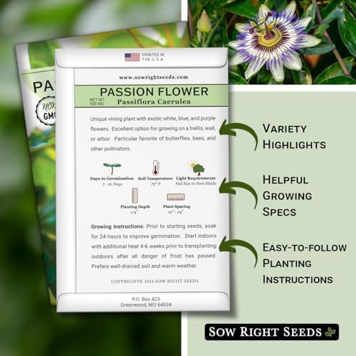 Sow Right Seeds - Passion Flower Seed for Planting Outdoor Passionflower - Image 2