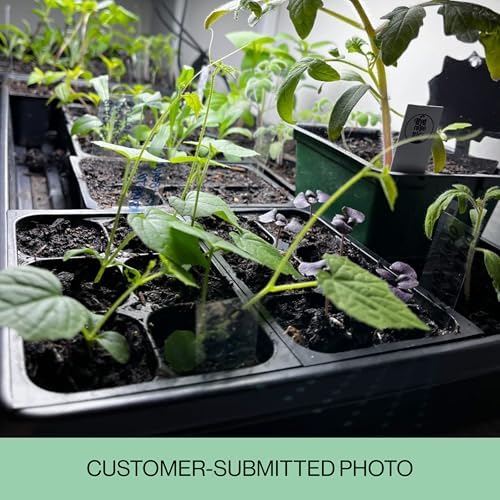 Seed Starter Trays, 144 Cells (24 Trays - 6 Cells Per Tray) + Plant Stakes - Image 5