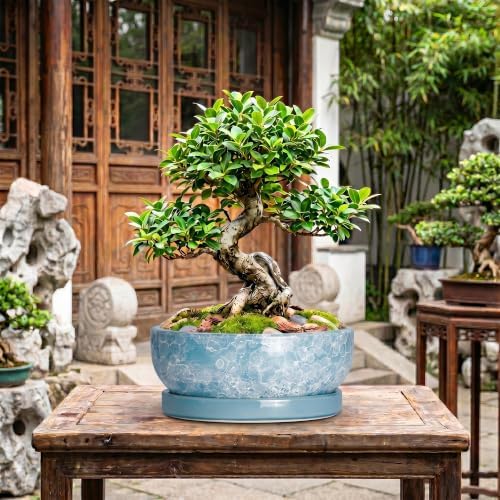 Succulent Planter, 13 Inch Ceramic Bonsai Pots, Droplet Blue - Image 7