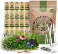 20 Culinary Herbs & Edible Flower Seed Variety Pack for Planting Indoor & Outdoors. 9500+ Non-GMO Heirloom Flower Seeds: Basil, Borage, Echinacea, Lavender, Oregano, Rosemary Seeds & More by OrganoRepublic