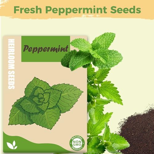Herb Seed Pods Kit Hydroponic - Refill Pod for All Indoor Garden, 8 Grow Pods with Seeds of Peppermint & Plant Food, Compatible with All Hydroponics Growing Systems - Image 5