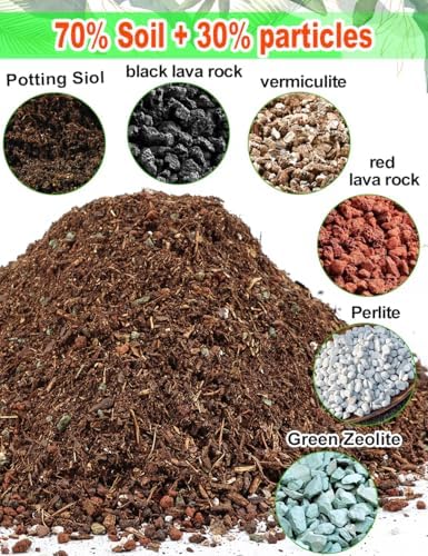 TOYPOPOR Succulent Soil, Cactus Potting Mix 1.25 Pounds/1 Quart, High Drainage, Pre-Mixed Ready to Use for All Succulent Varieties, Indoor Plants, Bonsai, Terrarium, Houseplant, 30% Particles 70% Soil - Image 3