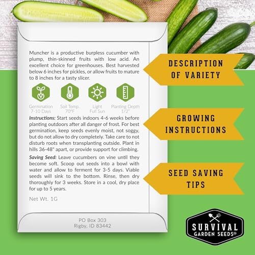 Muncher Cucumber Seeds for Planting - Low-Acid Slicing Cucumbers (1 Pack) - Image 2