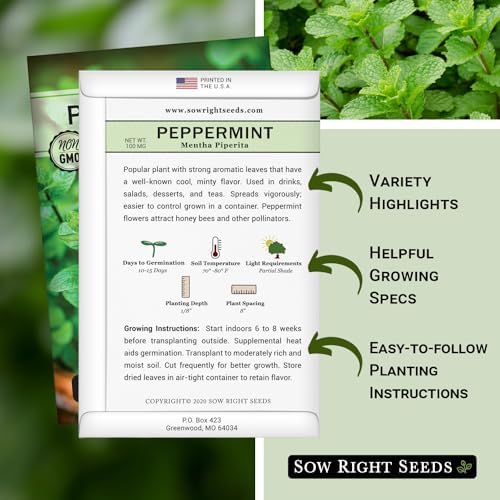 Sow Right Seeds - Peppermint Seed for Planting Perennial Herb Garden 3pk - Image 2