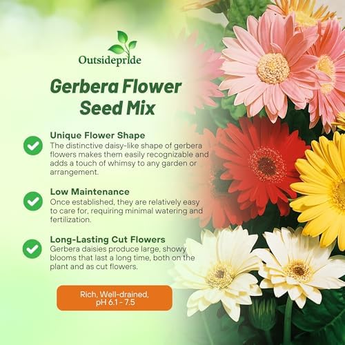 Outsidepride Hybrids Mix Gerbera Seeds - 200 Pcs Perennial, Compact & Low Maintenance, Flower Seeds for Planting w/Vibrant Mixed Blooms, Ideal for Garden Landscaping & Cut Flower Arrangements - Image 3