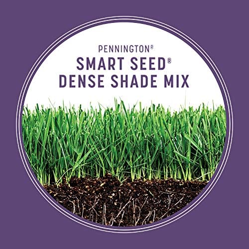 Pennington Smart Seed Dense Shade Grass Mix Bag 7 lb (Pack of 4) - Image 5