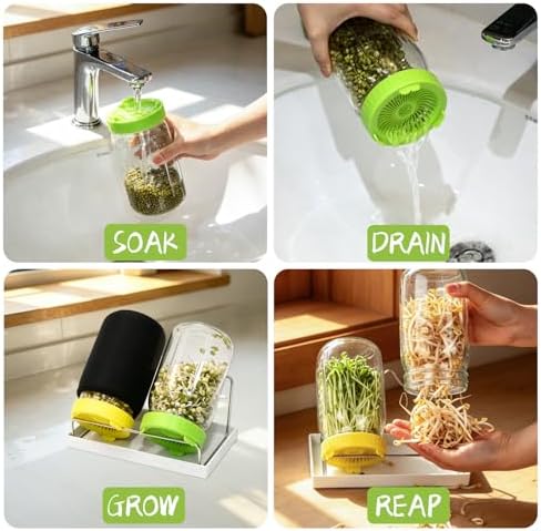 Seed Sprouting Kit & Green Onion Regrower, 2×32 Oz Wide-Mouth Mason Jars, Sprouter Lids, Stainless Steel Stand, Sprout Tray & Light Shield, Ideal for Sprouts, Broccoli, Alfalfa & Microgreens - Image 6