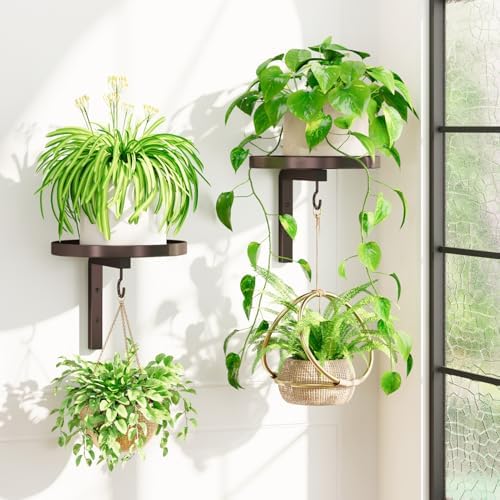 Plant Wall Hanger Holder Set of 2 for Indoor Outdoor, Bronze by iDavosicly