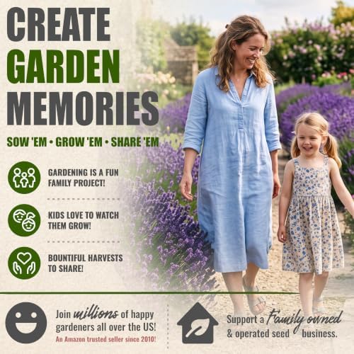 Seed Needs Blue Hidcote Lavender Seeds to Plant an Herb Garden - 5 Packs - Image 6