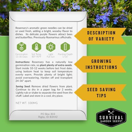 Rosemary Seeds for Planting – Survival Garden Seeds (3 Pack) - Image 2