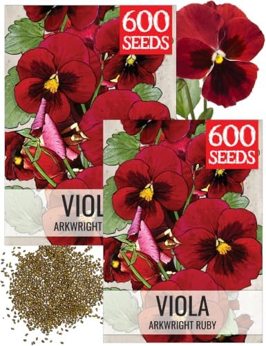 Seed Needs Arkwright Ruby Viola Seeds to Plant Red Annual Flowers 2 Packs by SeedNeeds
