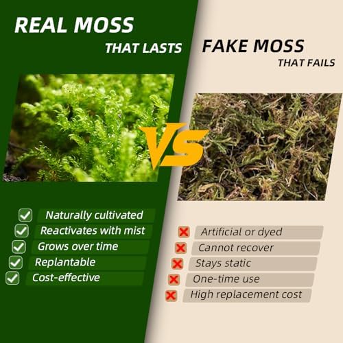 Live Moss Duo Pack 2 Types of Real Live Sheet/Sphagnum Moss for Terrariums, Terrarium Mosses Landscaping, Reptile Tank Accessories, Snake & Gecko Humidity Substrate Mosses for Crafts & Plant Décor - Image 4