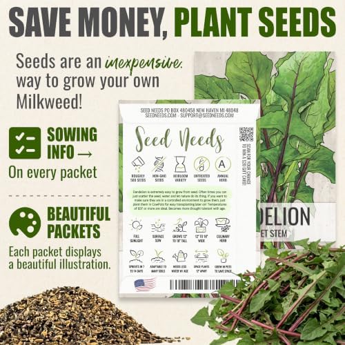 Seed Needs Herb Seeds Variety Pack of 3 - Dandelion Set Non-GMO & Heirloom - Image 3