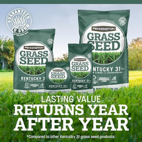 Pennington Kentucky 31 Tall Fescue Grass Seed, Drought-Resistant, 7 LB - Image 5