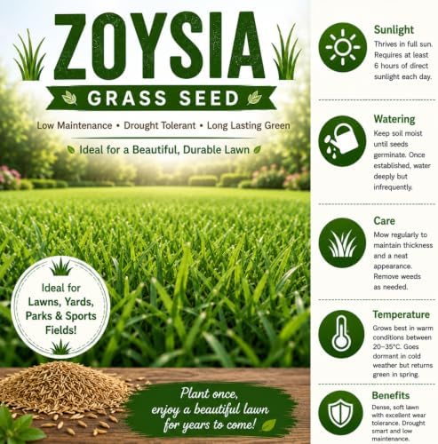 50,000 Zoysia Emerald Grass Seeds for Lawn, Zoysia Grass Seeds - Image 2