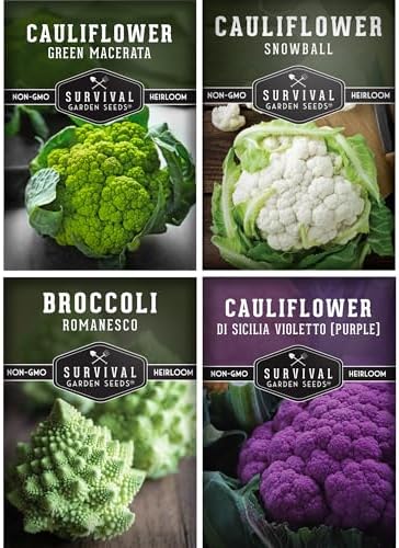 Cauliflower Seeds 4 Variety Pack for Planting – Survival Garden Seeds by SurvivalGardenSeeds