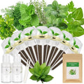 Gourmet Herb Seed Pod Kit for Hydroponic System-7 Pods, with 7 Herbs Seeds by apoloseedic