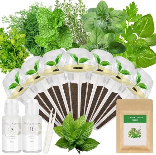 Gourmet Herb Seed Pod Kit for Hydroponic System-7 Pods, with 7 Herbs Seeds by apoloseedic