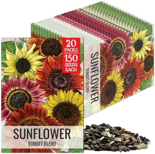 Seed Needs Sunset Mix Sunflower Seeds to Plant Cut Flowers - 20 Packs by SeedNeeds
