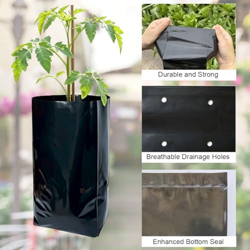 gardtree 1 3/8 Gallon 50 Pcs Tall Plant Nursery Bags 5.5" x 13", Deep Root Plastic Plant Grow Bags Thicken Tree Seedling Pots for Vegetable, Flower, Fruit, Citrus, Nut Trees, Taproot Saplings - Image 3