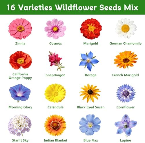 LUOJIBIE Wildflower Seeds Bulk, 10,000+ Flowers Seeds for Planting Outdoor, 16 Varieties Annual & Perennial Flowers Seeds Mix Color for Garden, 2 Oz Packet, Non-GMO, Attracts Pollinators, Easy to Grow - Image 3