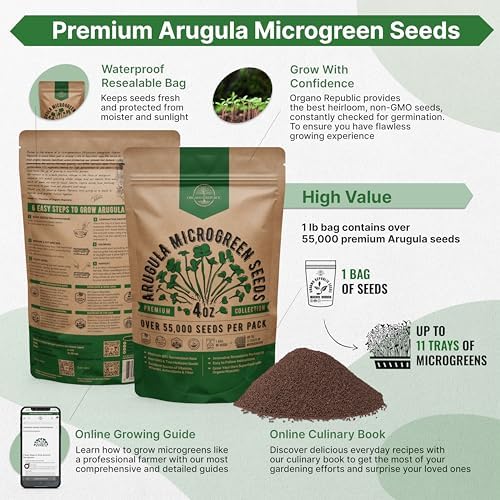 Organo Republic Arugula Sprouting & Microgreens Seeds - 55,000 Non-GMO Heirloom Seeds, Sprouts in 4 oz Resealable Bag for Planting & Growing Microgreens in Soil, Coconut Coir, Aeroponic & Hydroponic - Image 2