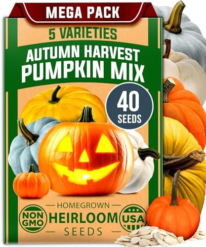 HOME GROWN Pumpkin Mix Seeds, 5 Variety, 40+ Seeds, Cucurbita pepo by HOMEGROWN