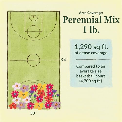 Ferry-Morse Perennial Bulk Wildflower Seeds, 200,000+, 1 lb - Image 6