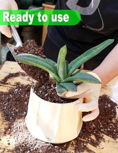 TOYPOPOR Succulent Soil, Cactus Potting Mix 1.25 Pounds/1 Quart, High Drainage, Pre-Mixed Ready to Use for All Succulent Varieties, Indoor Plants, Bonsai, Terrarium, Houseplant, 30% Particles 70% Soil - Image 4