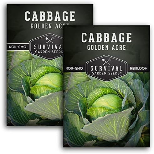 Golden Acre Cabbage Seeds for Planting – Survival Garden Seeds (2 Pack) by SurvivalGardenSeeds