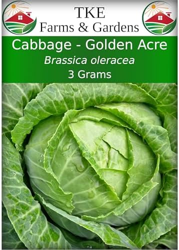 TKE Farms & Gardens - Cabbage Seeds for Planting, Golden Acre, 3 Grams, 700 Heirloom Seeds, Non-GMO, Packet Includes Instructions for Growing, Brassica oleracea, Qty 1 by TKEFarmsGardens