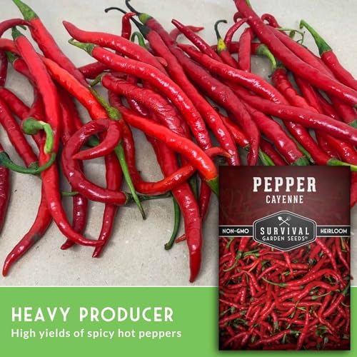 Cayenne Pepper Seeds for Planting - 1 Pack - Image 5