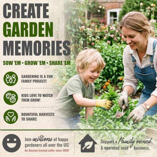Seed Needs Arugula Seeds to Plant an Herb Garden - 5 Packs - Image 6