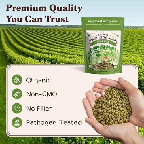 Seedboy Organic Non-GMO Sprouting Seeds (Mung Bean) - Image 6