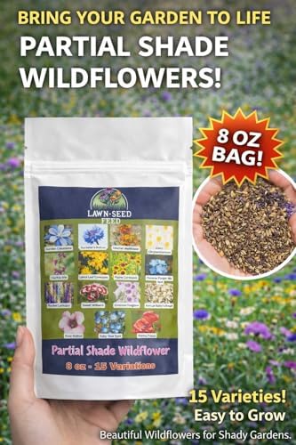 Partial Shade Wildflower Mix Seed (8oz) – Shade-Loving Wildflowers that Produce Vibrant Blooms in Low-Light Areas and Dappled Sun. Perfect for Yards, Garden beds, Fence Lines, and Woodland Edges. - Image 5