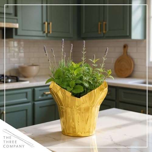 Herb Combo - Stress Reliever, Lemon Balm, Lavender & Mint, Aromatic Plant Collection in Deco Cover, 12" Tall by 6" Wide in 1.25 Qt Pot - Image 5