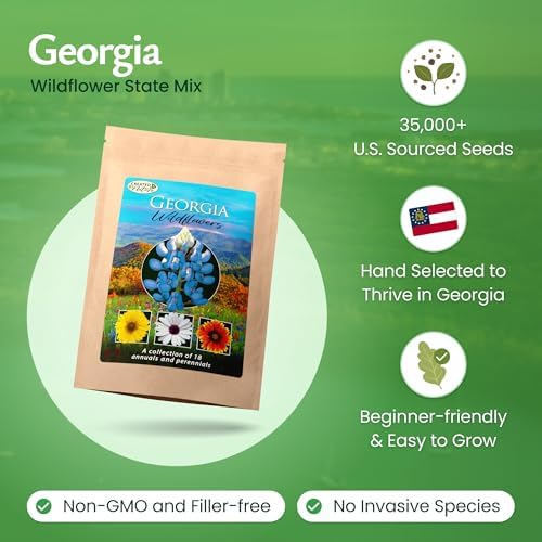 Georgia Wildflower Seed Mix – Over 35,000 Flower Seeds, Covers 300 Sq Ft - Image 2