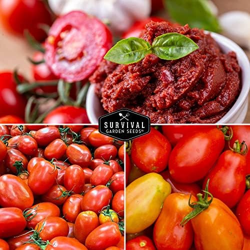 Paste Tomato Seed Variety Pack Collection - Roma and San Marzano - Image 4