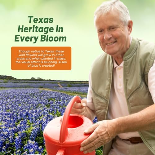 Outsidepride Texas Bluebonnet Seeds - 1 lb. Annual Lupinus Texensis, Heirloom Quality, Drought-Tolerant Wildflower Seeds w/Blue Blooms for Vibrant Spring Displays, Landscape, & Attracts Pollinators - Image 6