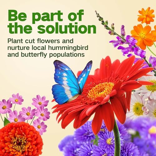 Lush&Dew Cut Flower Seed Bank, Gardening Gifts for Women, 32 Variety Seeds - Image 5
