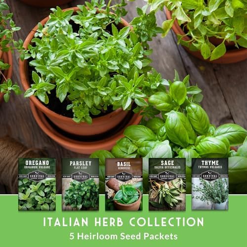 Italian Garden Herb Seeds for Planting, 5 Variety Pack - Image 3