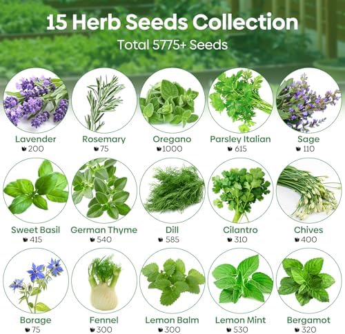 Groundio Herb Seeds, 15 Variety Packs, 5,700+ Non-GMO Heirloom Seeds | Herb Seeds for Planting Indoor, Outdoor & Hydroponic, with Rosemary, Basil, Mint, Lavender, Lemon Balm Seeds - Image 2