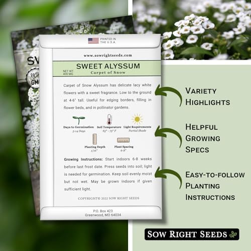 Sow Right Seeds - White Carpet of Snow Sweet Alyssum Seed for Planting 3pk - Image 2