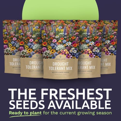 Drought Tolerant Wildflowers Mix – Bulk 5 Pounds – Over 600,000 Open Pollinated Non-GMO Seeds – 21 Different Dryland Species - Image 2