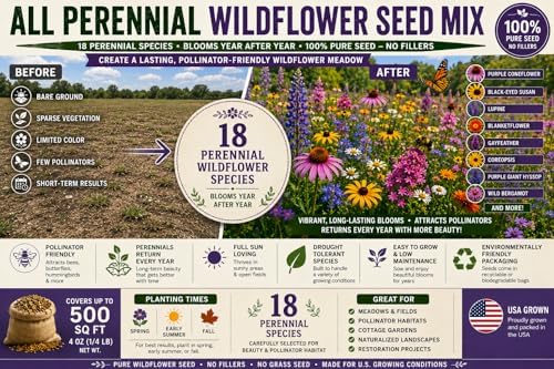All Perennial Wildflower Seed Mix – 18 Perennial Species, Pollinator Friendly Wildflower Seeds for Meadows & Gardens, No Fillers, USA Grown - 1lb Covers 2,000sq-ft - Image 2