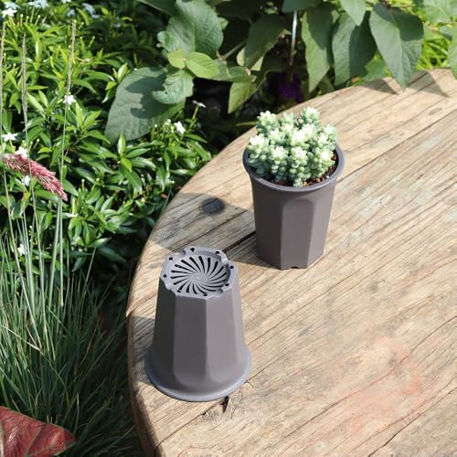 17 PCS 3.55" Plastic Deep Nursery and Seedling Pots, Round Transplant Seed Starter Planter,Gray Color - Image 4