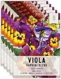 Seed Needs Bambini Viola Seeds to Plant an Annual Flower Garden 5 Packs by SeedNeeds