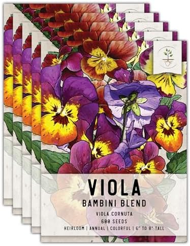 Seed Needs Bambini Viola Seeds to Plant an Annual Flower Garden 5 Packs by SeedNeeds