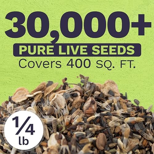 Drought Tolerant Wildflowers Mix – Bulk Quarter Pound Bag – Over 30,000 Open Pollinated Non-GMO Seeds – 21 Different Dryland Species - Image 3