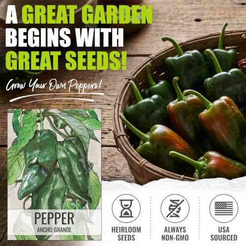 Seed Needs Ancho Grande Pepper Seeds to Plant Vegetables - 5 Packs - Image 2